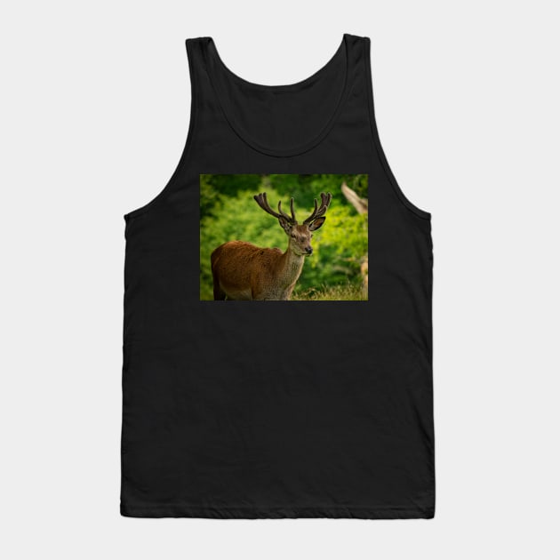 stag 5 Tank Top by outlawalien